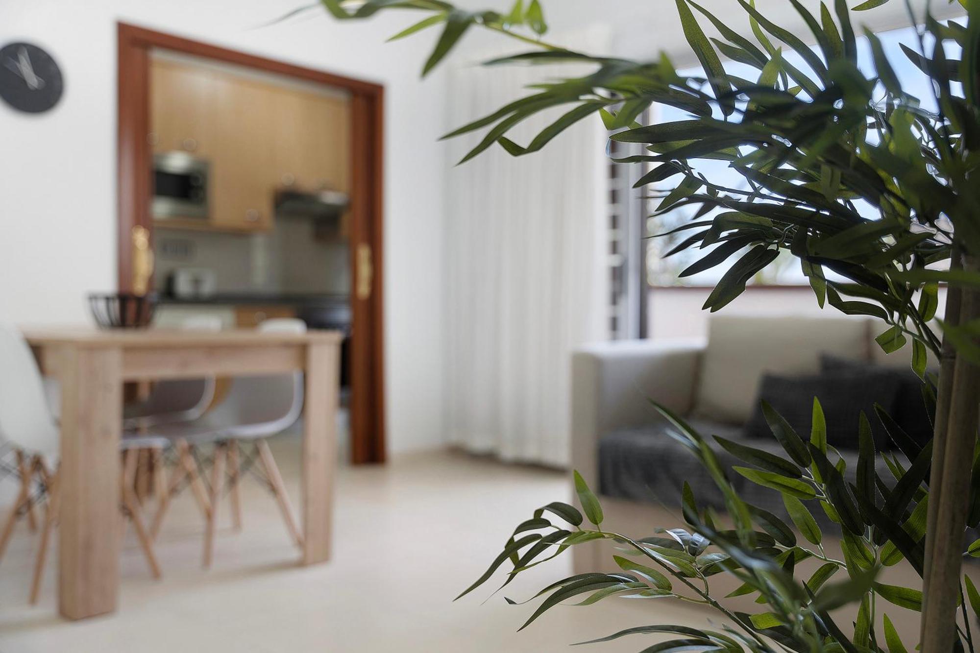 Apartamento Opuntia Ля Оротава Экстерьер фото